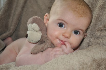 954C1DBB-A5DE-4282-8D8C-20C384D84A78