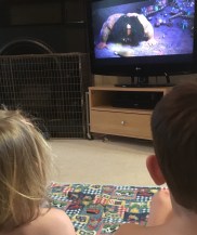 DC2310AA-E073-4BBF-89F0-21E2481649F9